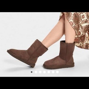 UGG Classic Short Boot Chocolate 7